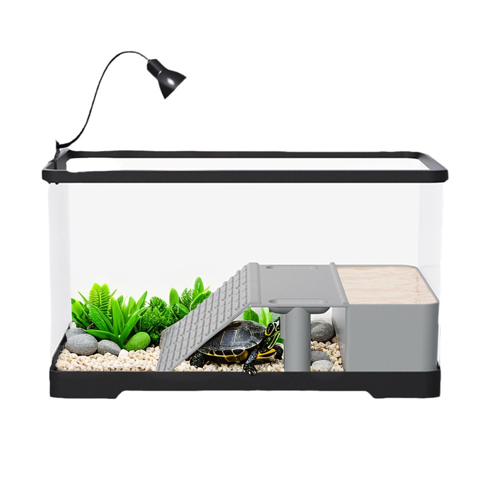 Aquariums & Fish Tanks