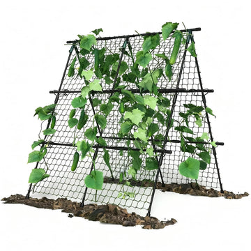Garden Trellis