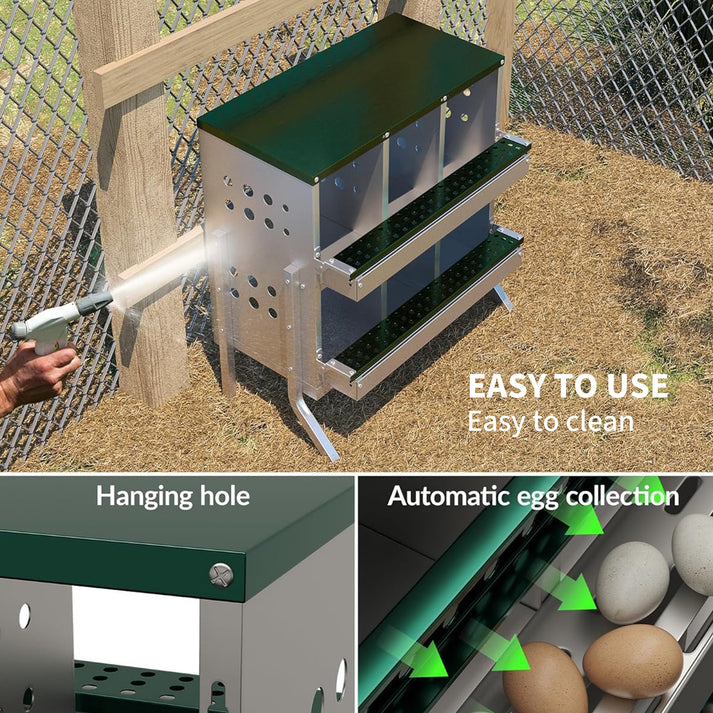 Automatisches Rollaway-Eiersammelsystem