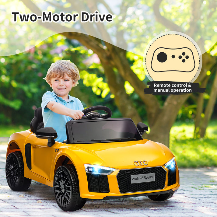 Duale Steuerung des Garvee Elektroautos