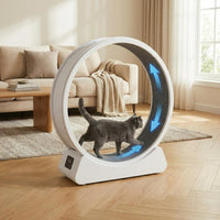 GARVEE XL Katzenlaufrad Ø103 cm für große Katzen bis 12 kg, Leises Katzenrad mit Schrittzähler & Kratzbrett, Abnehmbarer Teppich, Weiß