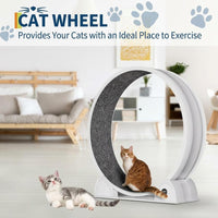 GARVEE XL Katzenlaufrad Ø103 cm für große Katzen bis 12 kg, Leises Katzenrad mit Schrittzähler & Kratzbrett, Abnehmbarer Teppich, Weiß