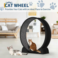 GARVEE XL Katzenlaufrad Ø103 cm für große Katzen bis 12 kg, Leises Katzenrad mit Schrittzähler & Kratzbrett, Abnehmbarer Teppich, Schwarz