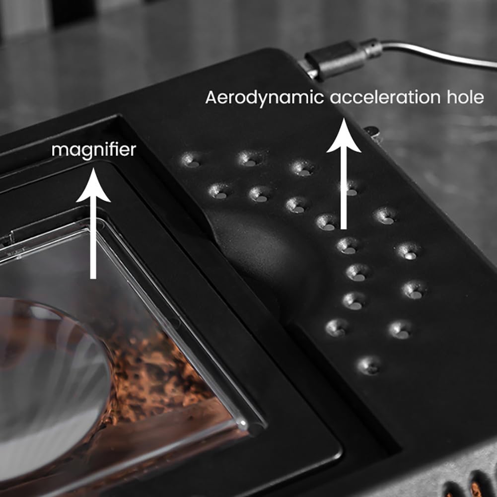 Portable Reptilienbox