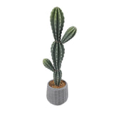 Garvee Künstlicher Kaktus 35 Zoll Realistisch EVA Material Weißer Topf Indoor Outdoor Dekoration