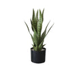 Garvee Künstliche Schlangenpflanze Grün Tiger Piran Topfpflanze Für Home Office Cottage Patio, 50 cm, Grün