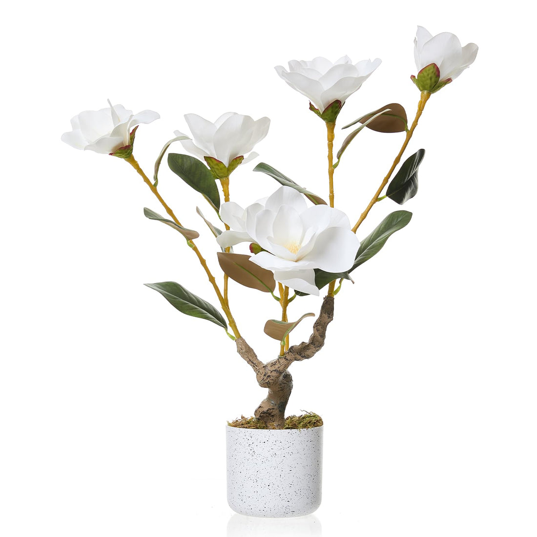 PHK_36EKW5X8