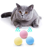 GARVEE 3 Stück Katzenspielzeug Klingender Ball 50mm, Interaktives Katzenbälle Mit Tiergeräusch, EVA Silikon, Gelb Blau Rosa
