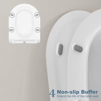 PHO_0R8PGD65