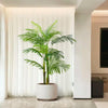 Garvee Künstliche Palme Für Innen- Und Außenbereich, Moderne Dekoration, 120-180 cm, Schwarz