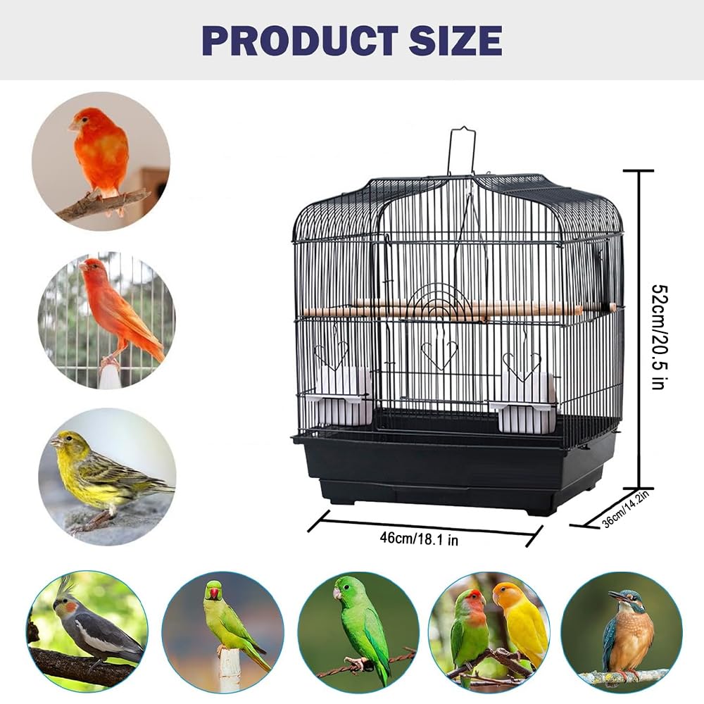 PPS_335FNMQY