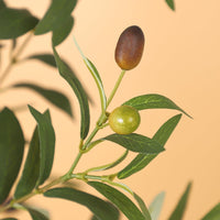 PHO_153PB4A1