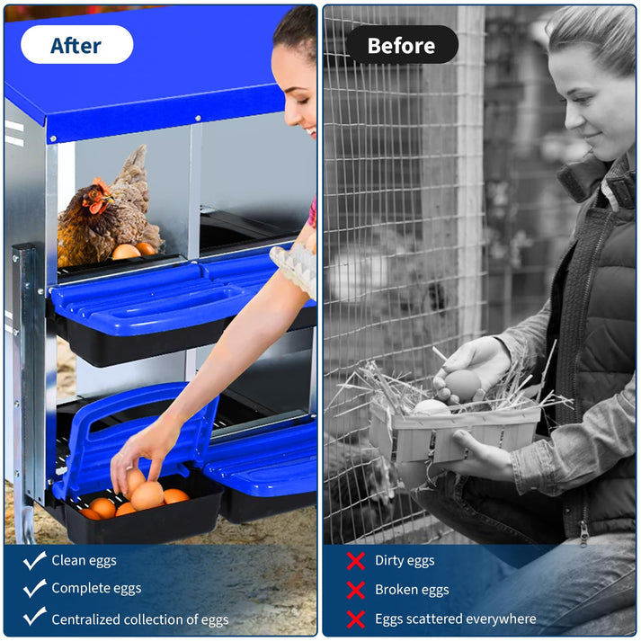 Effizientes Eiersammeln & Schutz vor Bruch