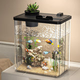 Garvee Mini Aquarium Starter Kit Acryl Mit Pumpe & LED Licht, Transparent, Für Garnelen & Kleine Fische, Tischdekoration - Schwarz Groß