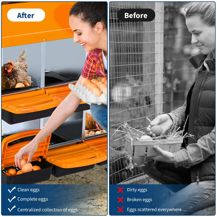 Effizientes Eiersammeln & Schutz vor Bruch