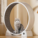 GARVEE XL Katzenlaufrad Ø103 cm für große Katzen bis 12 kg, Leises Katzenrad mit Schrittzähler & Kratzbrett, Abnehmbarer Teppich, Weiß - Weiß