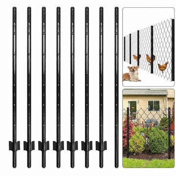 PPG_34XYGEBN