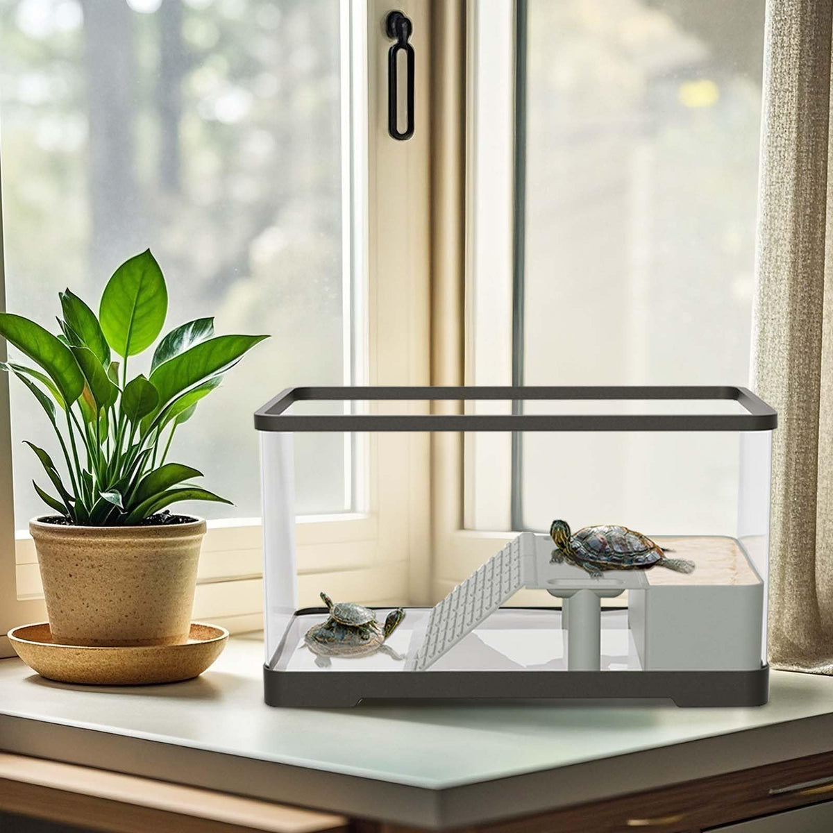 Garvee Schildkr ten Aquarium Kit Mit Badeplattform Licht garvee-schildkr-ten-aquarium-kit-mit-badeplattform-licht