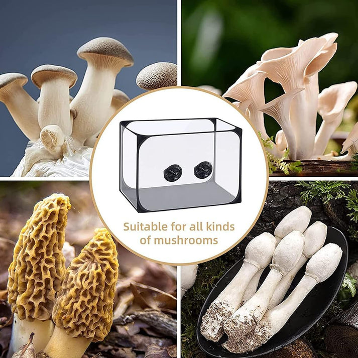 Pilz-Zucht-Tent Set