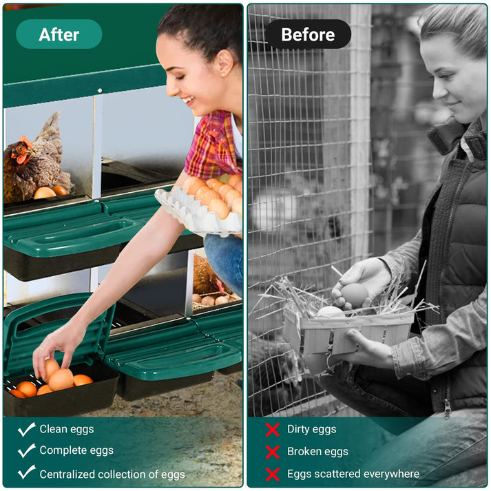 Roll-Away Eiersammelsystem im Detail