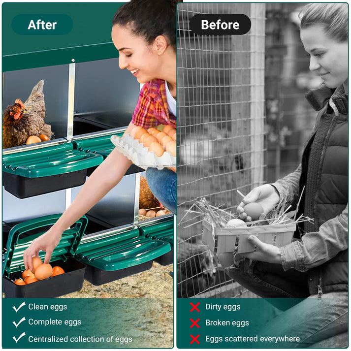 Innovatives Eier-Sammelsystem mit Roll-away-Funktion