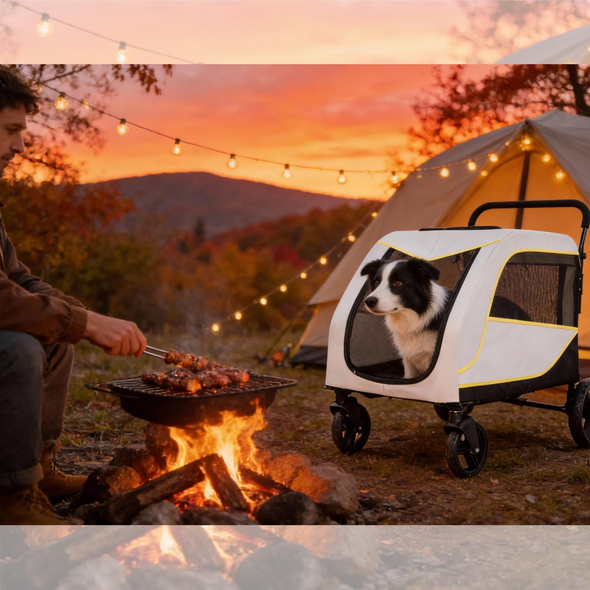 Garvee robuster Hundewagen für Spaziergänge und Reisen