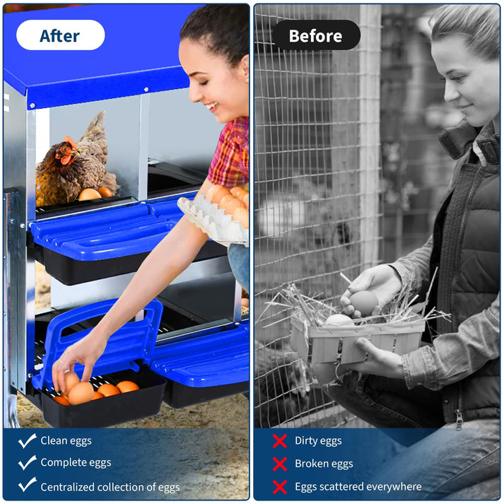 Effizientes Eiersammeln & Schutz vor Bruch