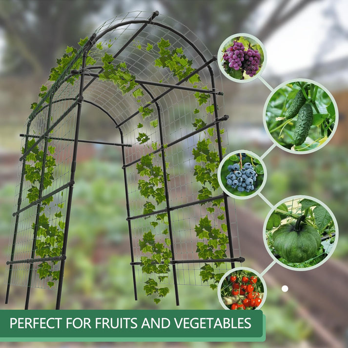 Gartenbogen passend für Trauben, Gurken, Kürbis, Bohnen, Tomaten und weitere Früchte & Gemüse