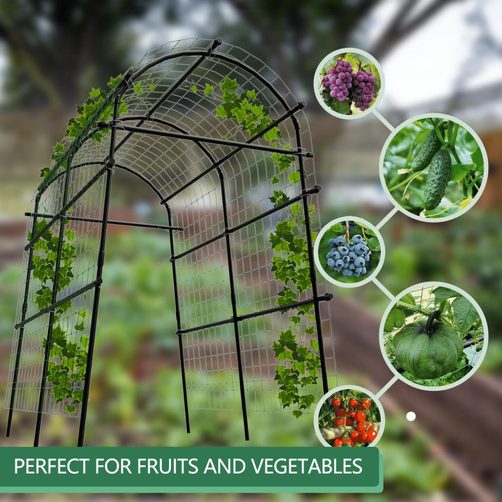 Geeignete Pflanzen: Gurken, Trauben, Kürbis, Bohnen, Tomaten für den Gartenbogen