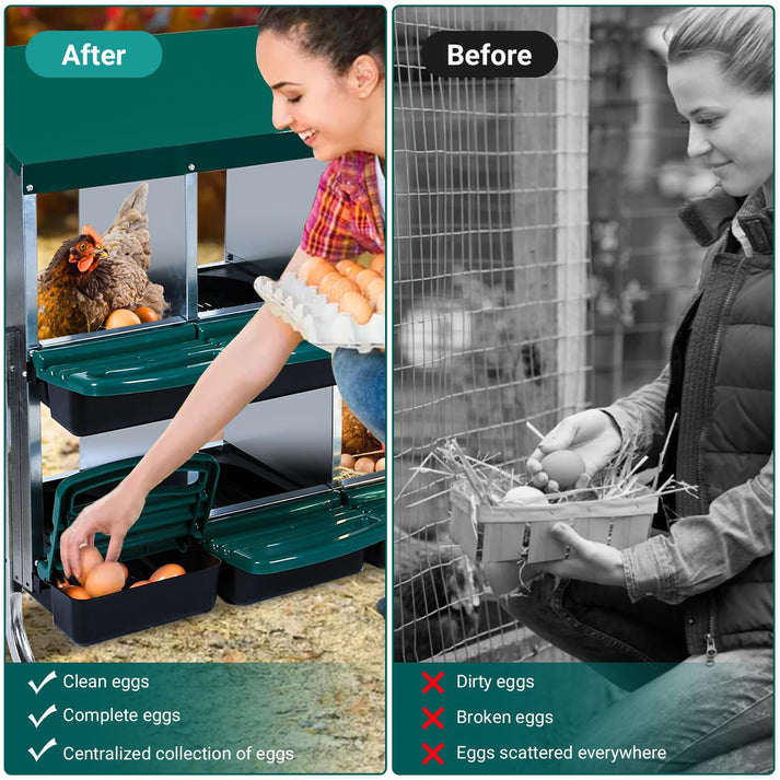 Vorher/Nachher-Vergleich: Roll-Away-System sammelt Eier zentral und schützt sie vor Bruch