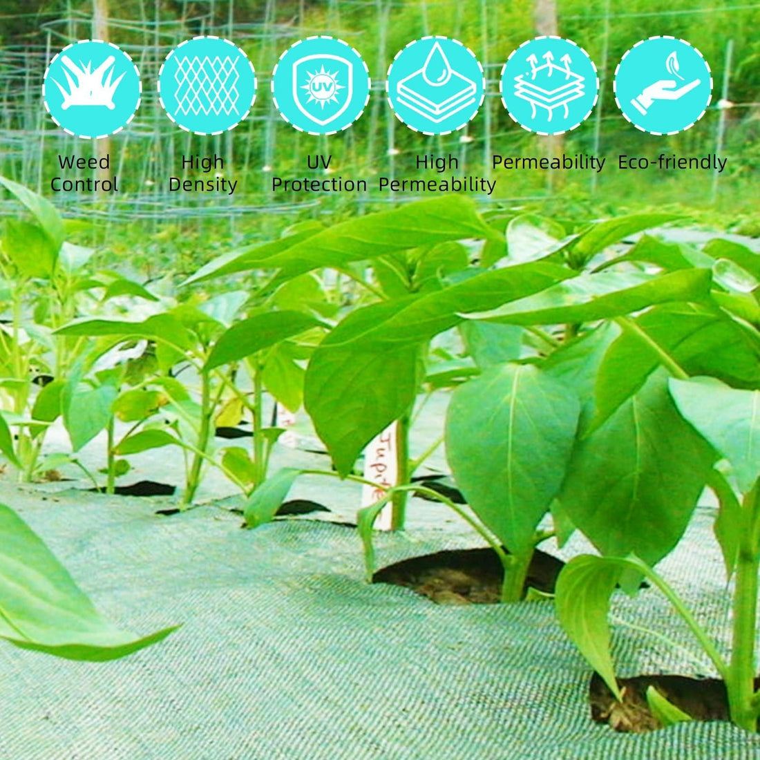 PHO_0YZX706E