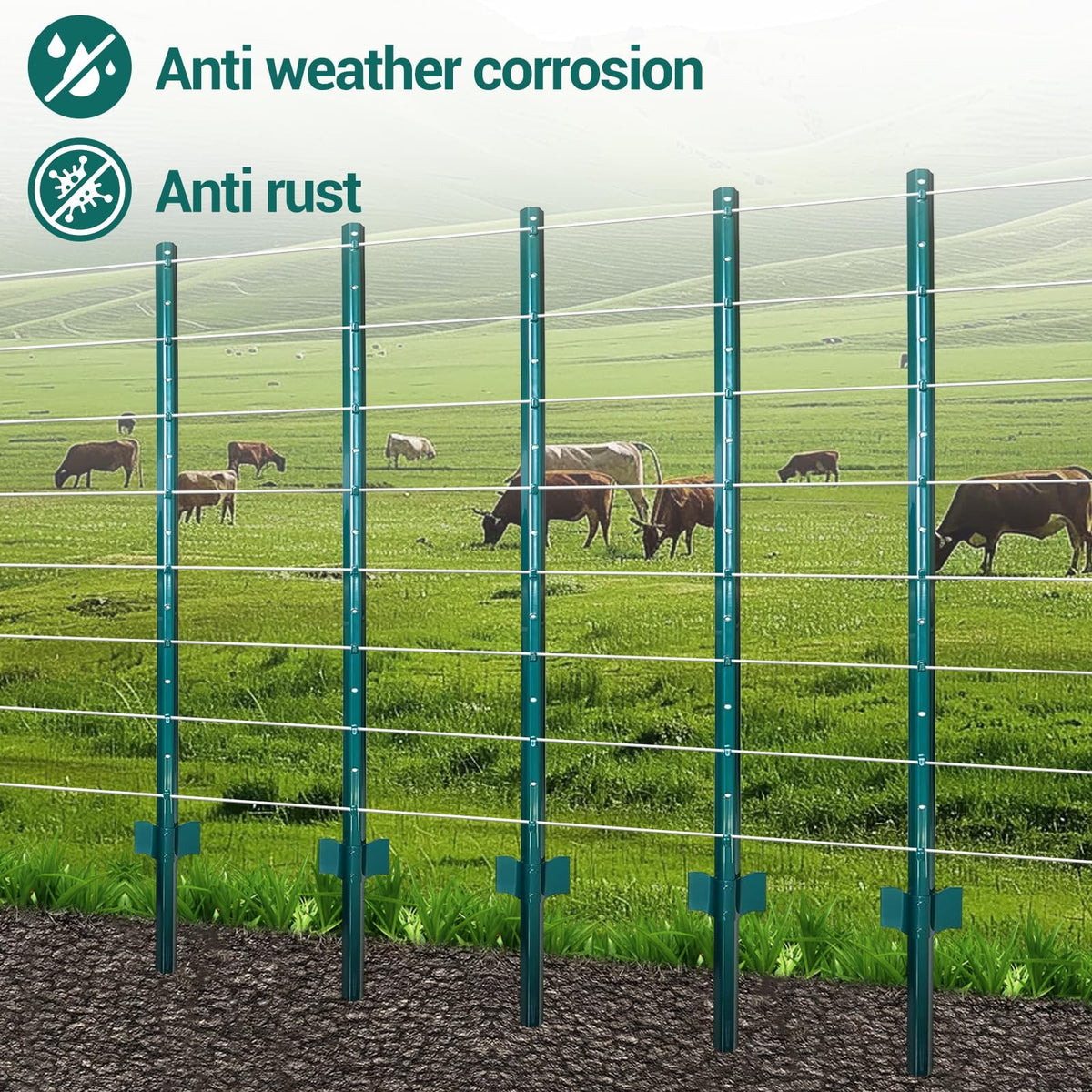 PPG_34XYV5KH