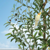 PHK_33CG7454