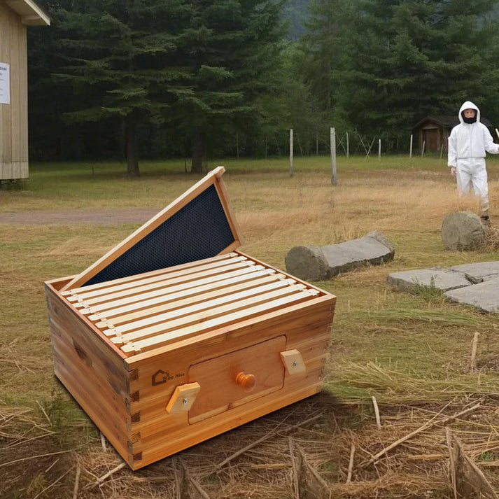 Transparentes Bienenbeobachtungsfenster