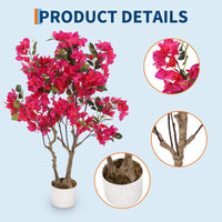 PHK_36CDSSWC