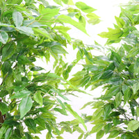 PHK_33EXRGH7