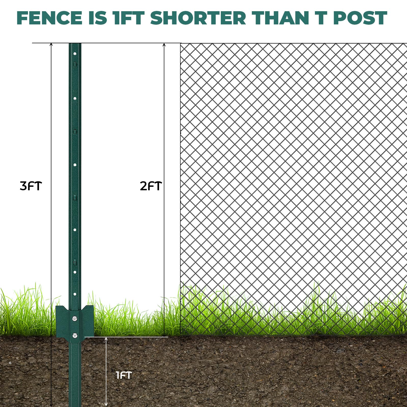 PPG_336A4O36