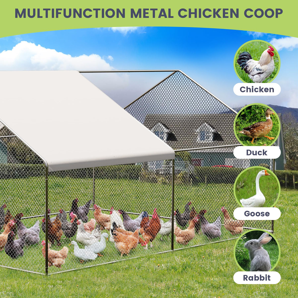 Einfacher Aufbau des modularen Metall-Hühnerstalls