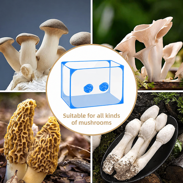Pilz-Zucht-Tent Set