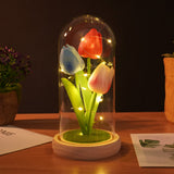 GARVEE Tulipan In Glas mit LED-Lichtern Ewige Kunstblume Elegante Dekoration Wohnraumdeko Nachtlicht Geschenk für Frauen und Mütter - Gemischt