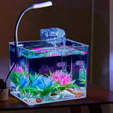 Garvee Kleines Aquarium Mit Licht, 360° Sicht, Widescreen, PS Material, Stoßfest, Anti-Rutsch-Basis, Wandmontage Für Wohnzimmer & Büro, Transparent, Kompakt - 