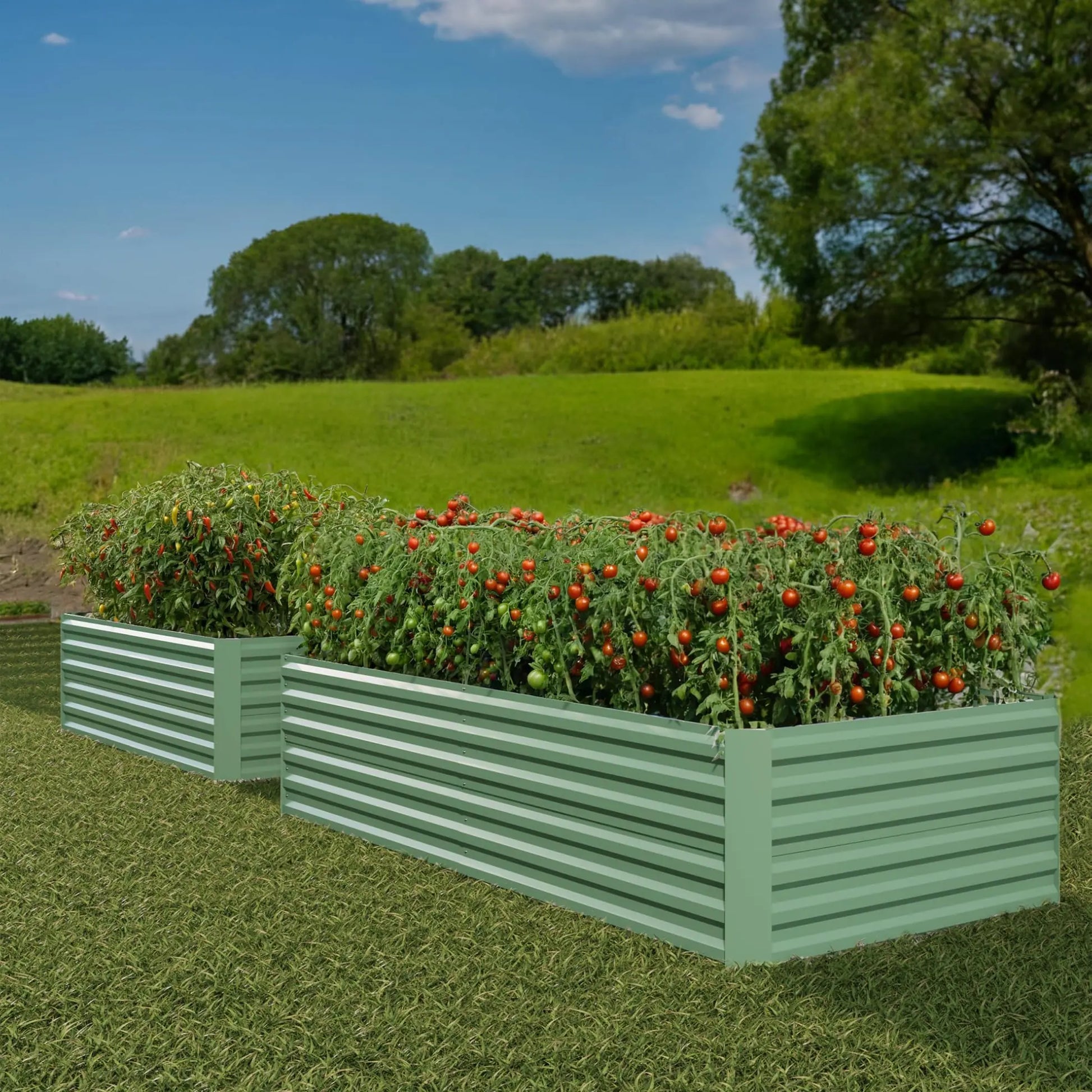 GARVEE Verzinktes Hochbeet 244 × 122 × 61 cm, Metall Pflanzbeet mit Offenem Boden, Rostbeständig und Wetterfest für Gemüse, Kräuter, Blumen und Garten, Grün
