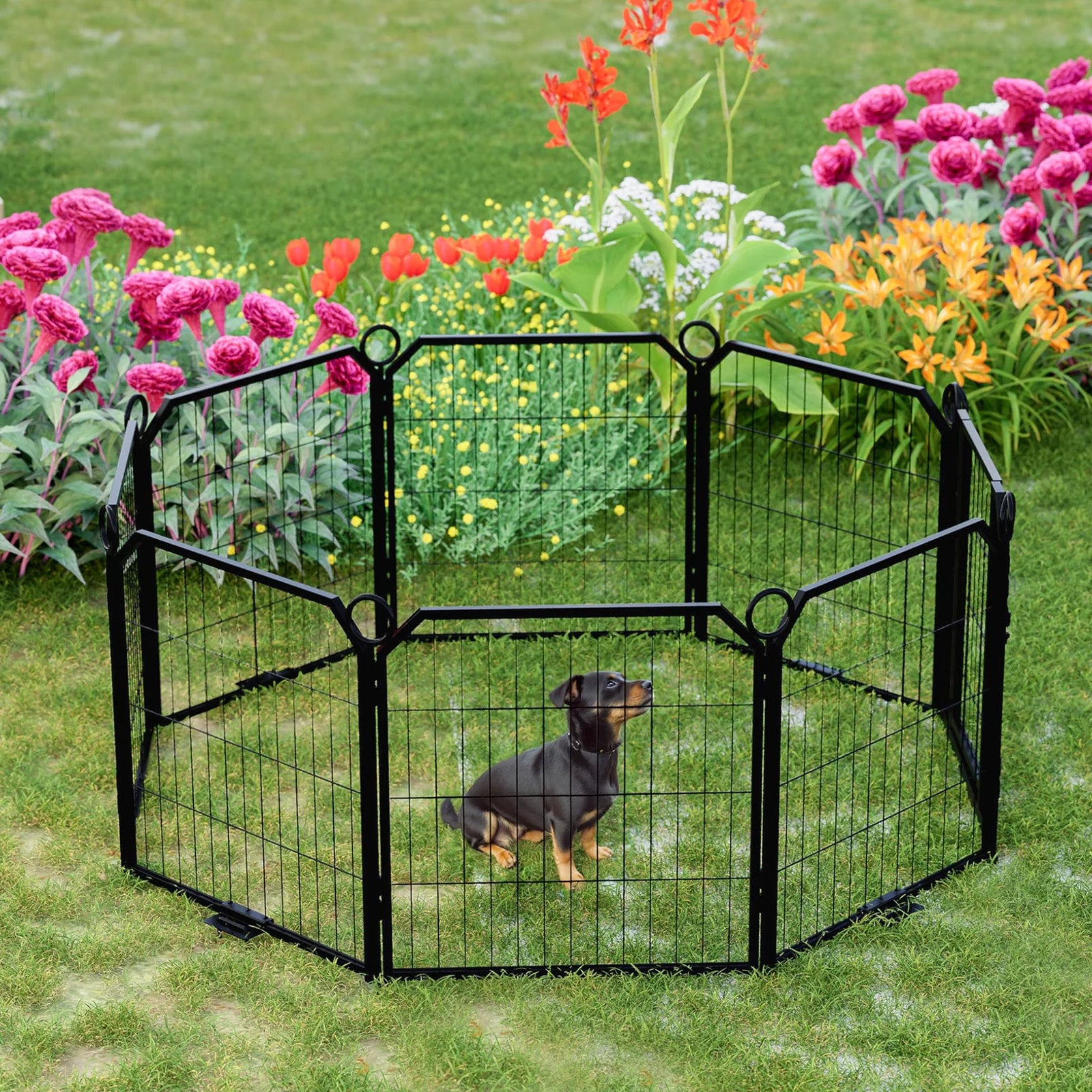 GARVEE Hundegehege 8-teilig mit Tür, 61 cm Hoch, Modulares Freilaufgehege aus Rostfreiem Stahl, Höhenverstellbar für Garten, Camping & Innenbereich