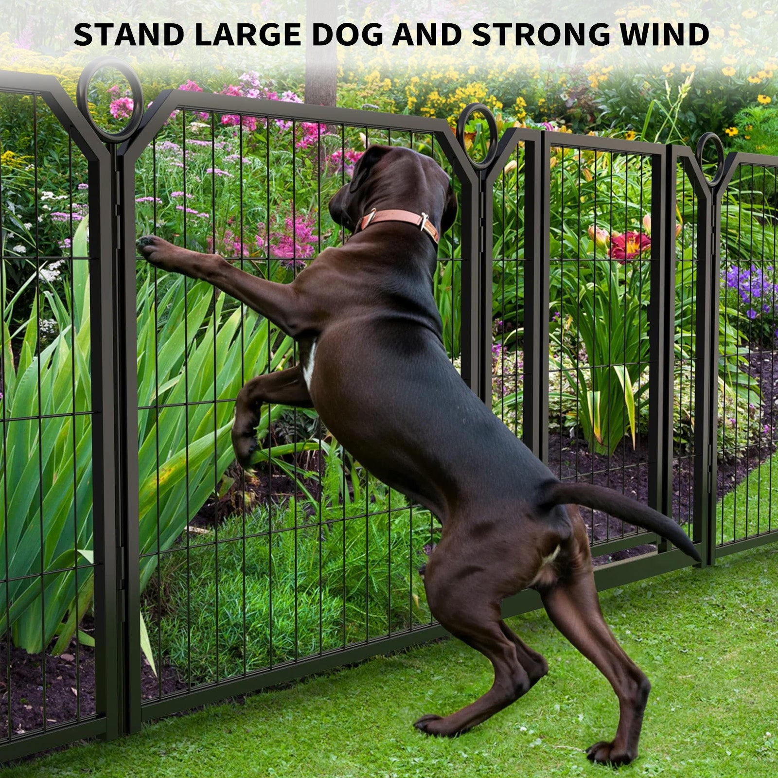 GARVEE Hundegehege 8-teilig mit Tür, 61 cm Hoch, Modulares Freilaufgehege aus Rostfreiem Stahl, Höhenverstellbar für Garten, Camping & Innenbereich