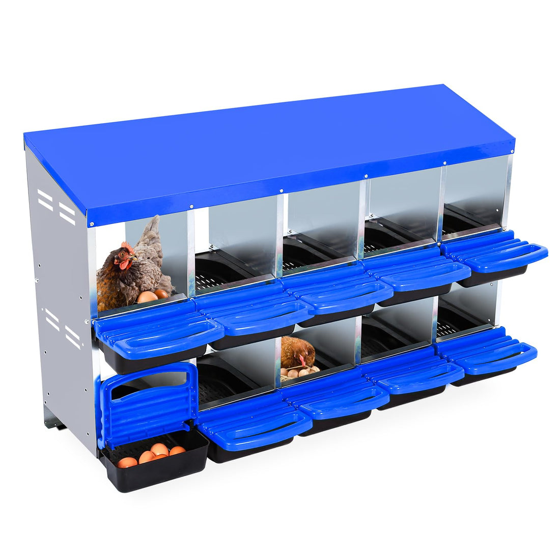 Legenest für Hühner-PPG_33CXHD77