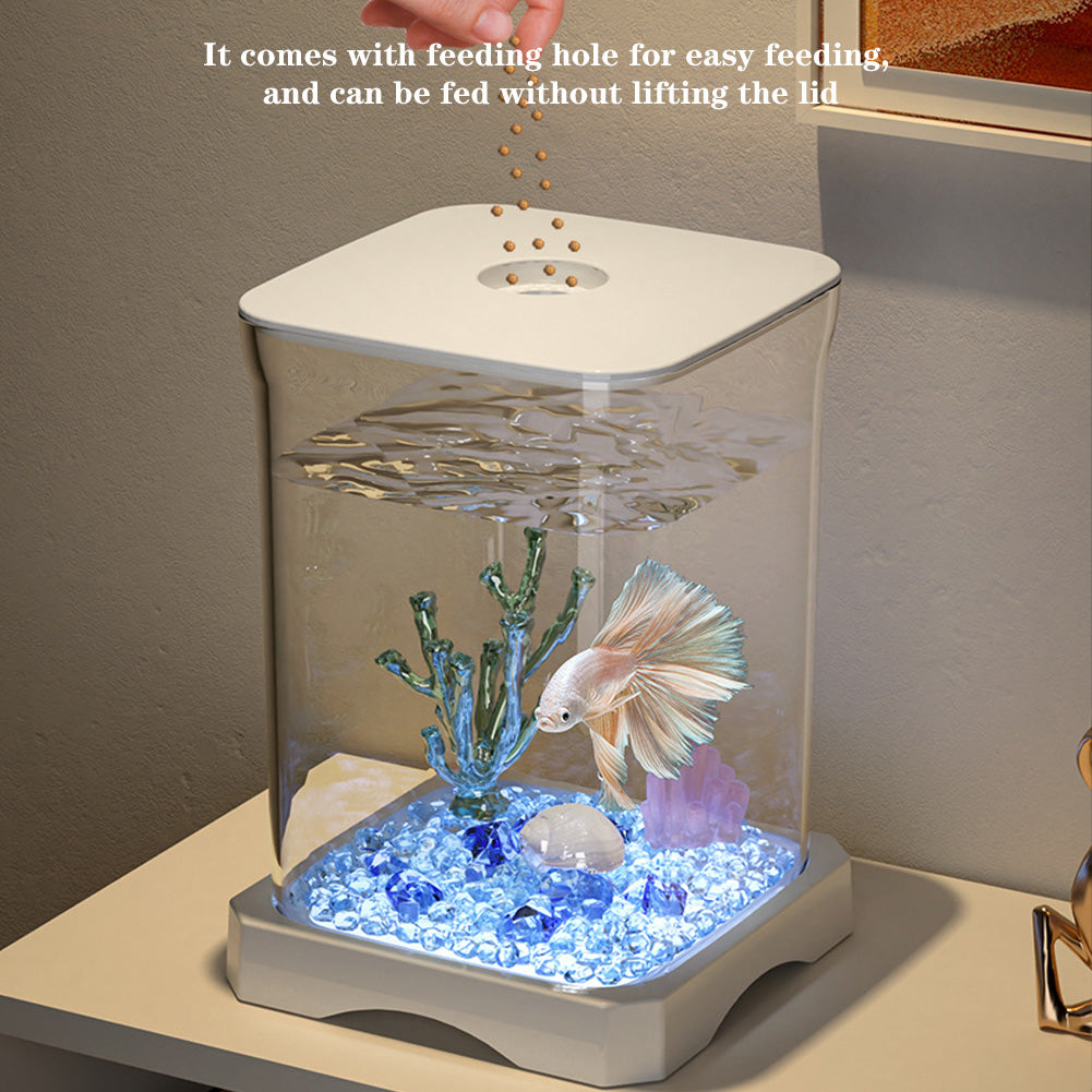 Garvee kleines Tisch-Aquarium mit Atmosphärenlicht