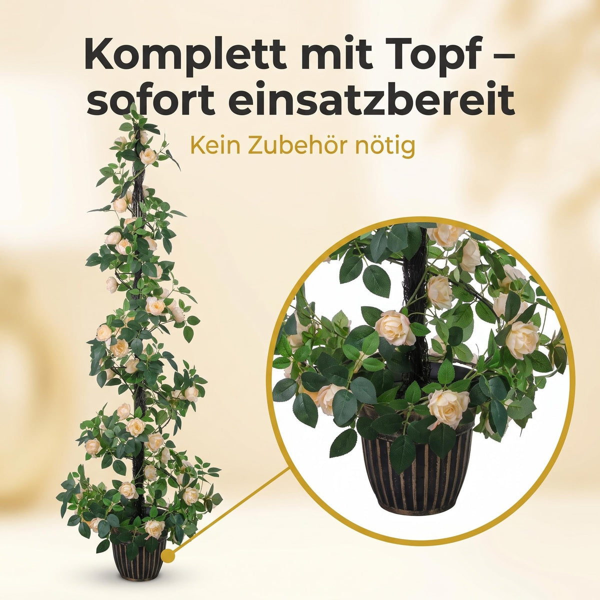 PHK_3BFXYPAA