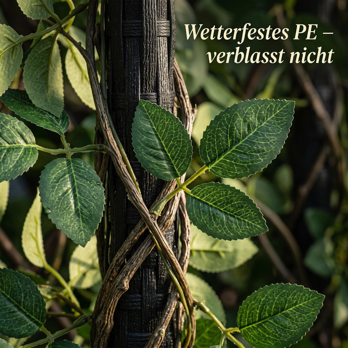 PHK_3BFXXTXI