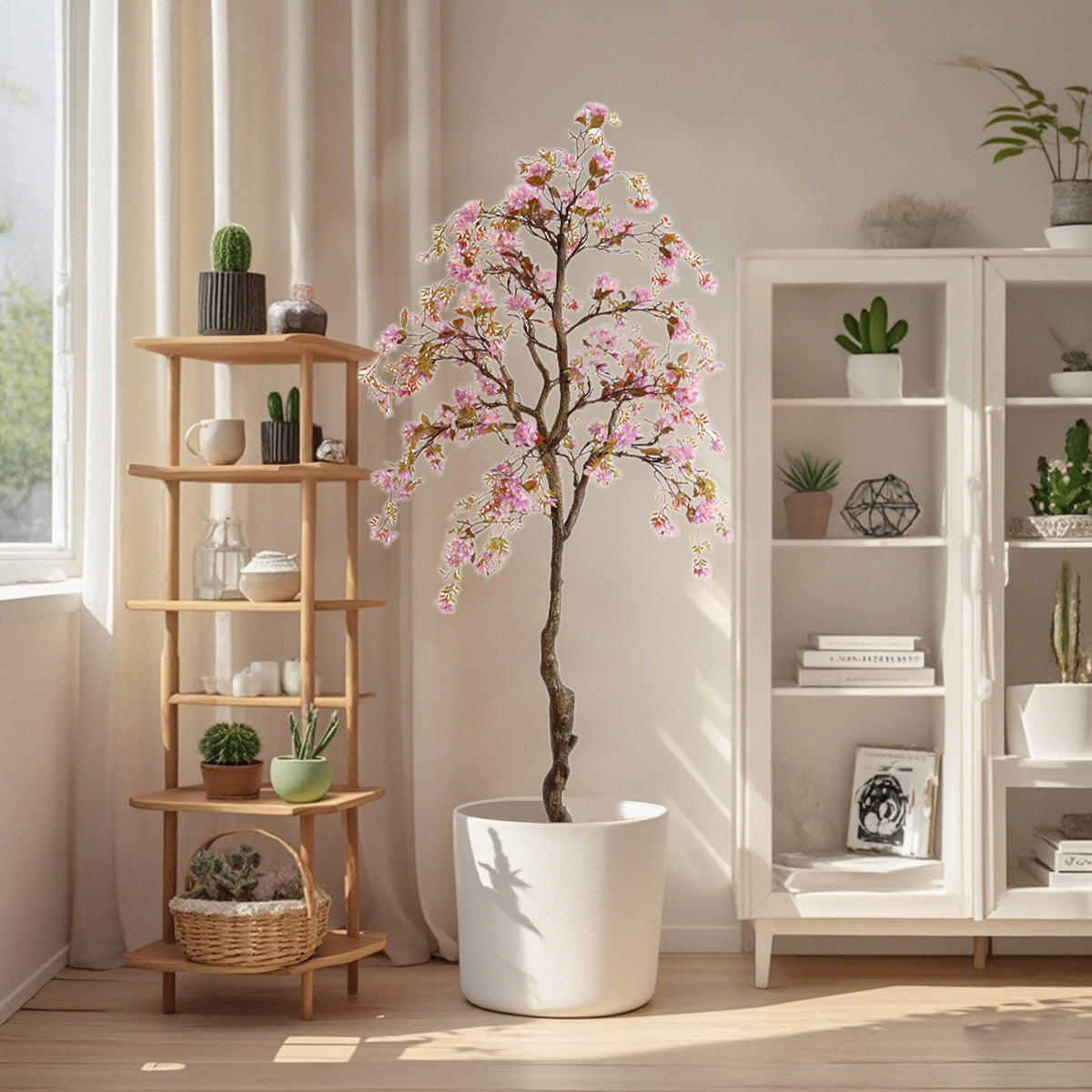 Begonienbaum mit rosa Blüten