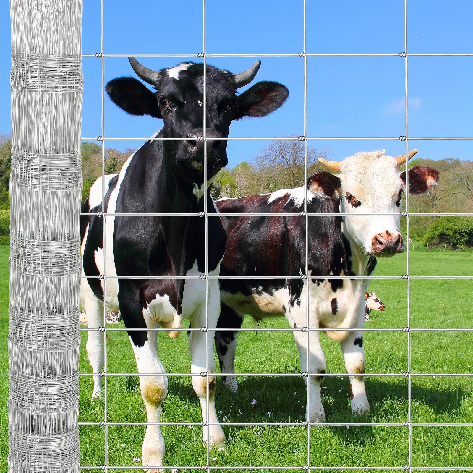 Garvee Rinderzaun 15GA Verzinkt, 1,2×50 m, Korrosionsbeständig für Vieh & Haustiere